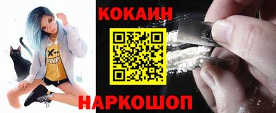 молекула духа Кингисепп