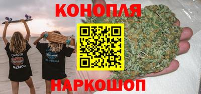 молекула духа Кингисепп