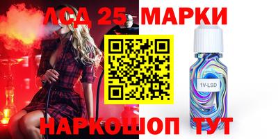 молекула духа Кингисепп