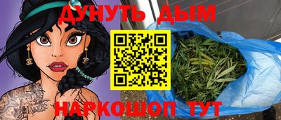 молекула духа Кингисепп