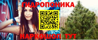 винт Кимры