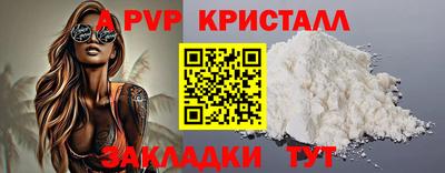 молекула духа Кингисепп