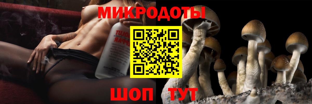 Щёкино  Псилоцибиновые грибы MAGIC MUSHROOMS  Вход с VPN 
